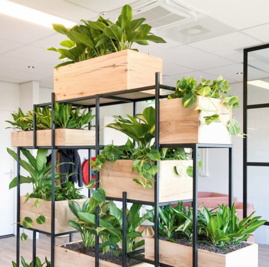 PlantEasy | Metal Frame Plant Divider