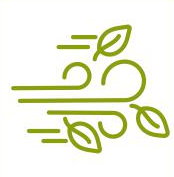 PlantEasy | Promotes Well-being