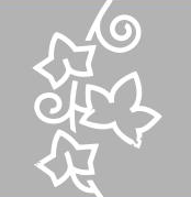 PlantEasy | Vertical Elegance