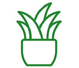 PlantEasy | Stylish addition to any decor