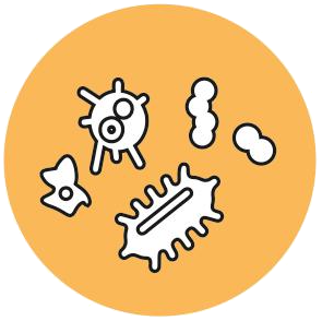 PlantEasy | Good Bacteria forties against pest / diseases