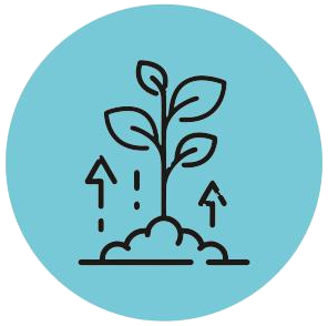 PlantEasy | Enhanced resilience to weather, disease, and insects